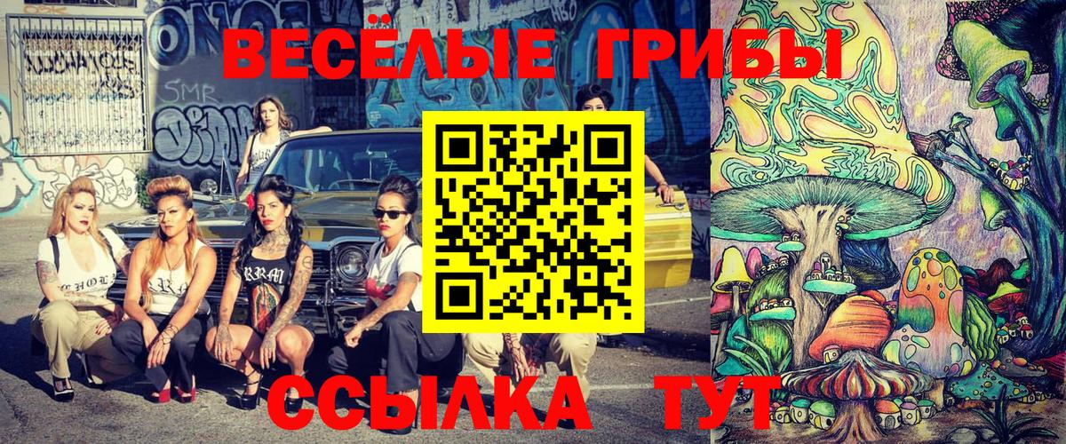Галлюциногенные грибы MAGIC MUSHROOMS  Вход с VPN  Псилоцибиновые грибы Psilocybe  Калининград 